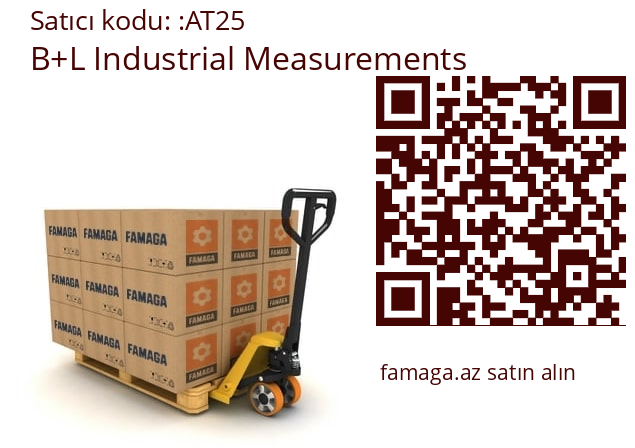   B+L Industrial Measurements AT25