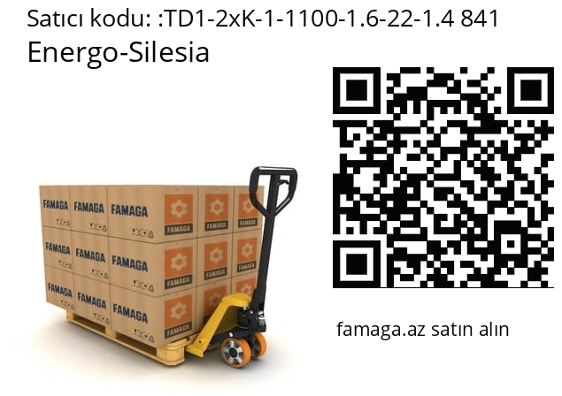   Energo-Silesia TD1-2xK-1-1100-1.6-22-1.4 841