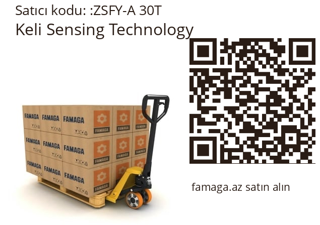   Keli Sensing Technology ZSFY-A 30T