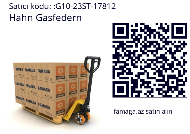   Hahn Gasfedern G10-23ST-17812