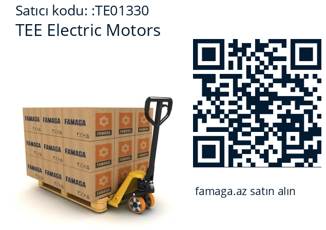   TEE Electric Motors TE01330